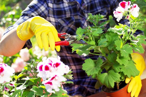 Supplier due diligence and ethical sourcing by gardeners in Wallington