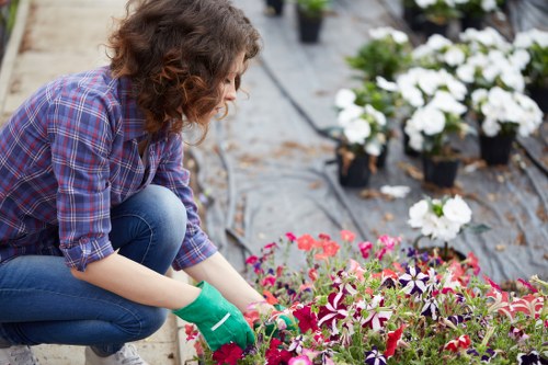 Seasonal hedge maintenance for Wallington properties