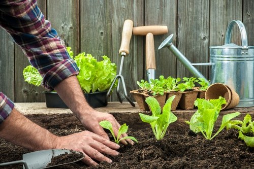 Keyboard-friendly Gardeners Wallington content layout