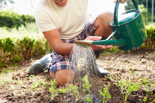 Professional landscaping in Wallington with seasonal plants and clean design