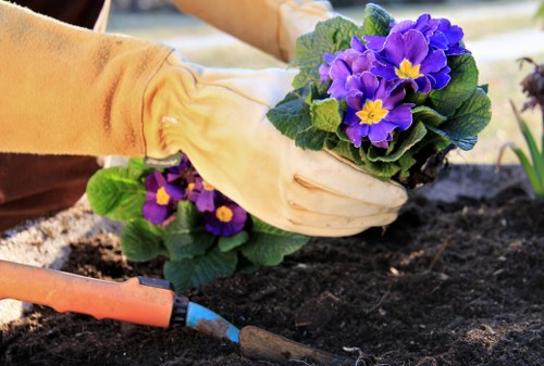 Seasonal planting and border maintenance in a Wallington garden