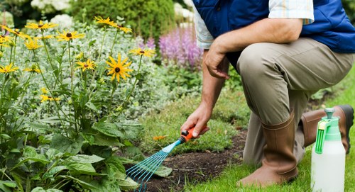 Transparent pricing for regular garden care in Wallington