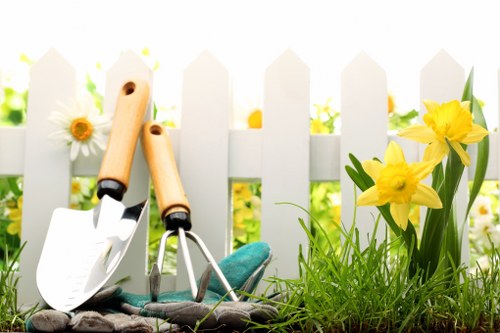 Wallington garden lawn mowing and care for a tidy outdoor space
