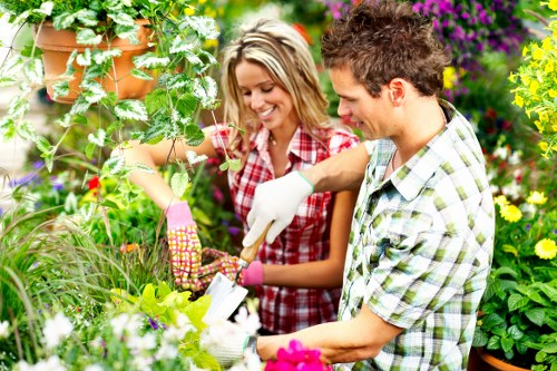 Professional lawn mowing finishing touches in Wallington