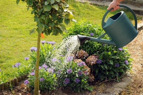 Free quote planning for a larger Wallington garden maintenance project