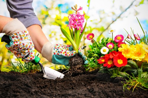 Commitment to human rights and lawful practices in Wallington gardening services