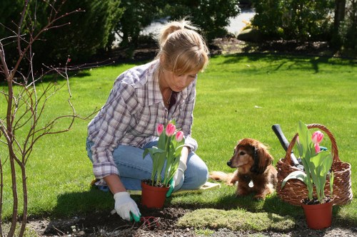Professional gardener using safety training and equipment during outdoor work