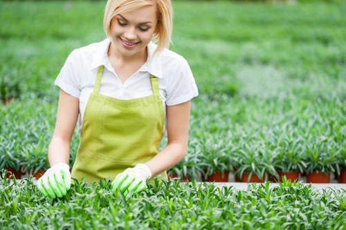 About Us Gardeners Wallington highlighting quality outdoor care