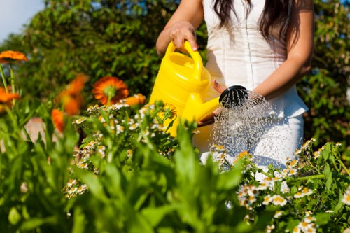 Accessibility request section for Wallington gardening services