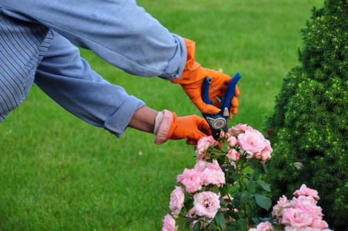 Regular review of health and safety procedures for gardeners