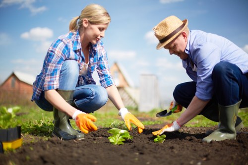 Professional lawn maintenance in Wallington with mowing and grass repair