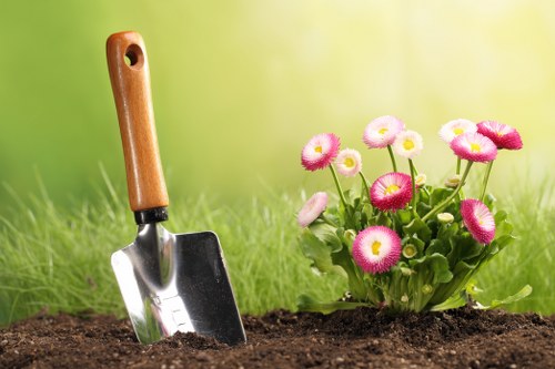 Local lawn mowing service maintaining a residential garden in Wallington