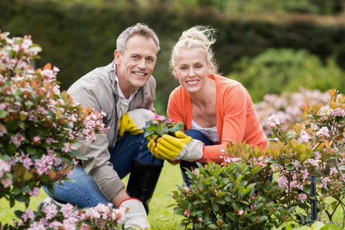 Autumn leaf clearance and garden tidy-up in Wallington