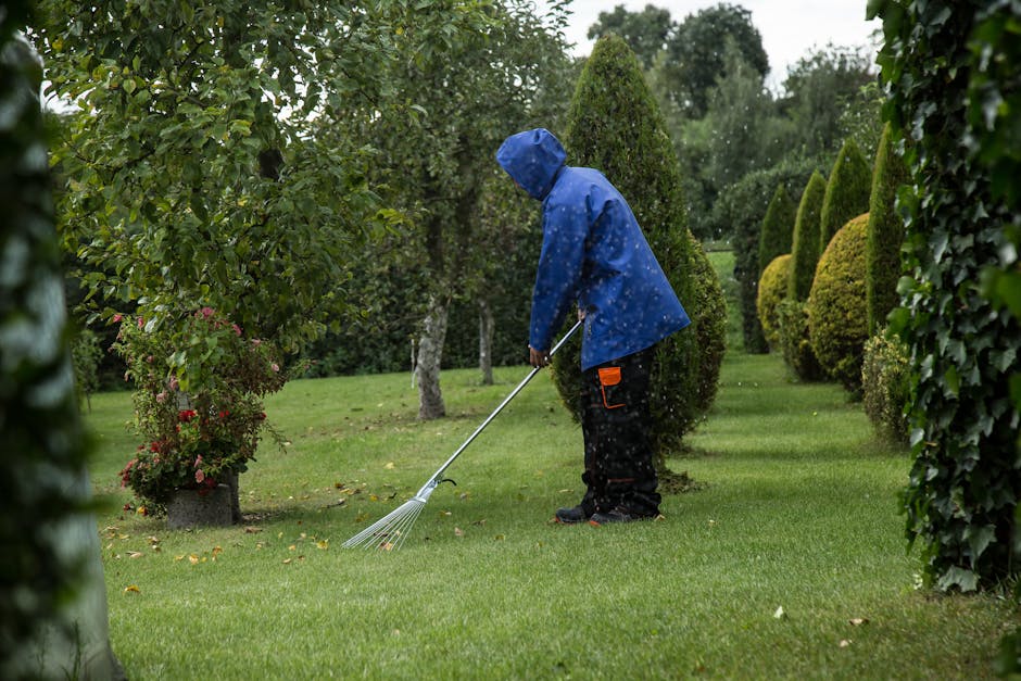 Best gardeners in Wallington SM6 same day lawn and hedge care