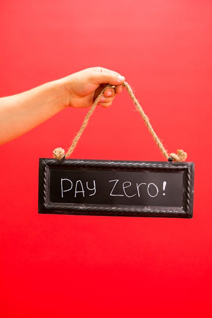 A person's hand holding a black rectangular sign with a decorative rope handle against a plain red background. The sign displays the message 'PAY Zero!' in white handwritten-style text, highlighting a